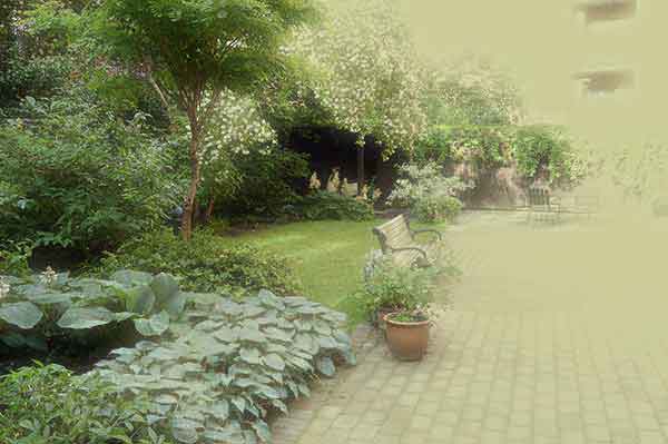 garden2